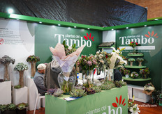 Plantas del Tambo