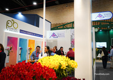 Flores de la Hacienda shared a booth with Breiercross and Royal van Zanten