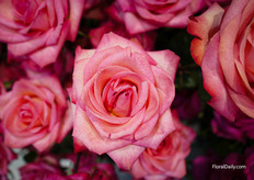 What a beautiful color