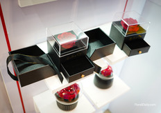 Preserved roses from Verdisimio