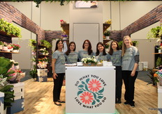 Copeent Design, Proccaci Brothers Sales Corporation