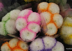 Flowers from Vistaflor growing ideas