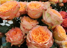 Flowers from Del Alma