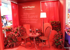 The Elite Flower, by Hanna Ford