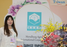 Clare Chen, Moralburg Agro International, Taiwan Flowers