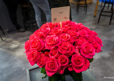 Tina, one of the Rosen Tantau novelties