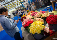 Of every flower approximately 13095824 photos were taken