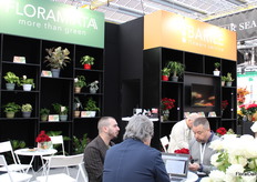 Floramiata and Barile Flowers