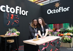 The Ladies from Octofor