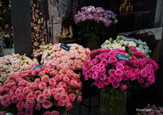 Spray roses of De Ruiter