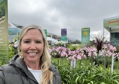 Heather Gronek from Plant Development Services with Agapanthus Poppin Pink