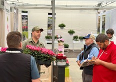 First stop: Morel Flowers