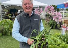 Kip McConnell with Agapanthus Poppin Pink