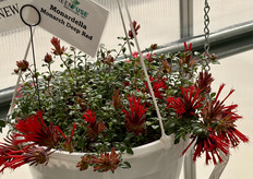 On to some photos from GreenFuse