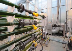 The algae are being collected in the filter at the end of the circulation. The next step is the processing of the harvest; a very intensive costly operation that involves freeze-drying and centrifugation. This part of the whole process generates a high cost price, there for the produced algae at WUR disappear in the sink, for now.