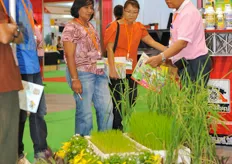 Rice is the most common crop in Asian horticulture. However, multiple governments are supporting farmers to switch over to alternative crops like peppers and flowers.