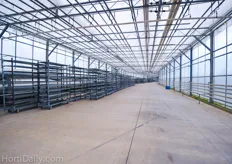 One of the corridors in between the greenhouses. Right now it is in use as a storage facility for empty trolleys, but during the top season, this corridor is full with plants.