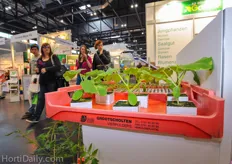 Youngplants from Grootscholten propagation (Globe Plant) at the booth of AgroTech.