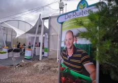 De Ruiter is one of the main suppliers of varieties for the medium and high tech greenhouses in Mexico.