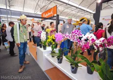 As one of the few ornamental plant breeders, Anthura cached a lot of attention at the show with their colorful selections.