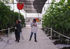 Enza Zaden demo greenhouse.