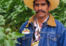 Mexican grower in the Seminis greenhouse.