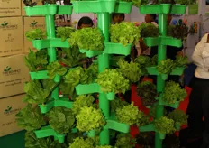 The vertical hydroponic grow system of Thai Advance, Agri Tech Co., LTD.