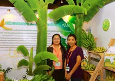 The cooperative Promotion Department were promoting the biological bananas of Hom Tong Banana.