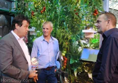 Kouwenhoven (Metazet Formflex) talks about Futagrow with pepper growers Patrick Grootscholten and Daaf Steentjes (Kwekerij de Wieringermeer)