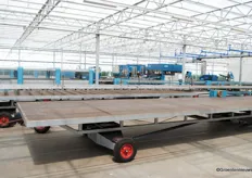 Storage for bedding plant production. With the cultivation shift in November, the plants are easily moved to the greenhouse.