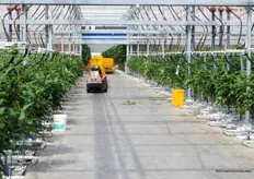 The greenhouse employs 12 people per 1.5 hectares