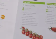 Solarino is one of Rijk Zwaan's premium oval cherry tomatoes for the Turkish market.