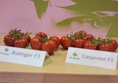 Avenger and Carpenter are strong varieties from Gautier.