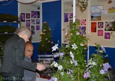 Lindsay Reid from The Guernsey Clematis Nursery showing their Clematis to a visitor.