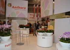 Anthura well presented with their extensive booth.