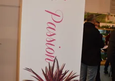 Tropical Seeds presented their newest product: the 'pink passion'.