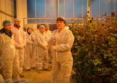 Ineke van Meggelen explains the group the habits of the Red Naomi rose and how it is cultivated at the Horti Science Parc. This is part of the Perfect Rose trials, see also : http://www.hortidaily.com/article/3073/Hybrid-system-used-to-grow-perfect-roses