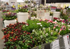 The booth of Fashion Flowers.