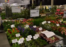 The booth of Family Plants.