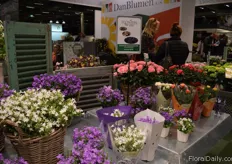 The booth of Flowers for you.