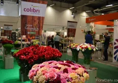The booth of Colibri.