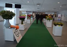 Entrance of the Show.
