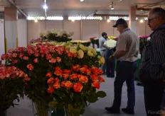 The area where the flowers if the participants of the Best Flowers Quality Award are shown.