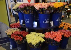 The Roses of Alani Gardens.