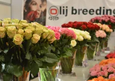 The roses of Olij Breeding.