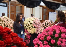 Visitors making pictures of the flowers of Black Tulip.