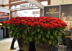 The Monte Carlo Roses of Jan Spek Rozen.