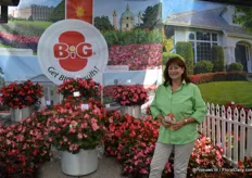 Gundula Wagner of Benary in front of the BIG begonia. This begonia is used all over the world for landscaping and is very popular in Russia and China. This year colour number five will be released: BIG Rose Green Leaf. The BIG series now offers five colours above glossy deep green or bronze foliage.
