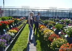 Visitors looking at the Torelus series. This is a complete new series of GGG Grünewald and attracted a lot of attention of the visitors. The Torelus flowers early and 12 cm pots can be cultivated in 5 weeks. The series consists of bright colors; at the moment: 2 whit, 2 yellow, orange and red.