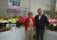 Laurence and Kees Everleens from Horteve Breeding, proud to present the newest Hortensia's